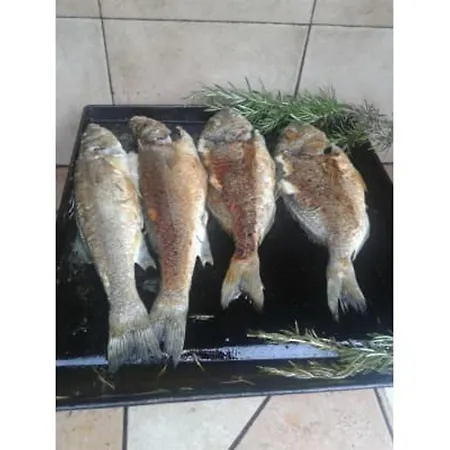 Gesamte In Bis 8 P,mit Pool,2 Balkonen,garten,grill Apartment *